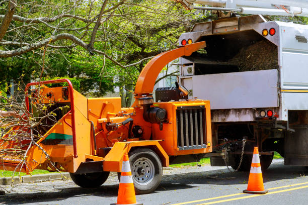 Best Lot and Land Clearing  in Delft Colony, CA